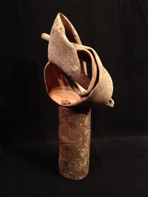 #1 Fig Bark Knot Melinda West - Student Success Story