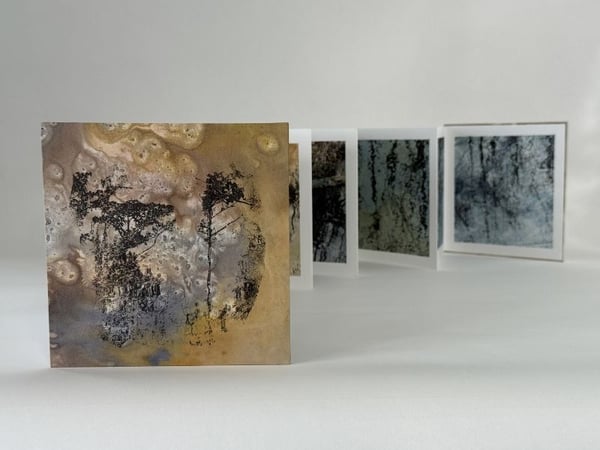 Alligator by Annegret Fauser - Student Success Story - Focus and Flow