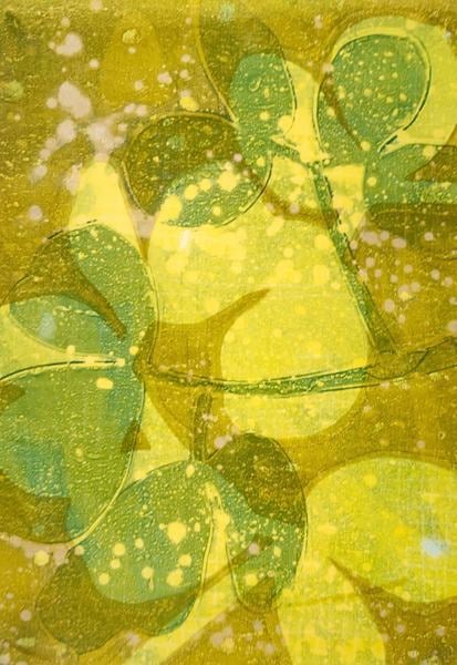 Artwork by Amy Donovan - student story for Art and Design with Tara Axford 7