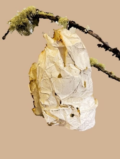 Artwork by Donna Towers - Student Success Story - Focus and Flow