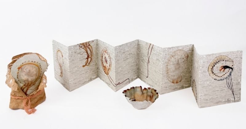 Artwork created by Carla Vermeend - Student Success Story