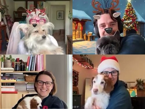 Take Two team members with their pets on a Christmas themed Zoom meeting