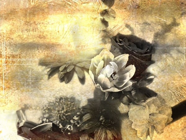 By Donna Towers - Student Success Story - Focus and Flow