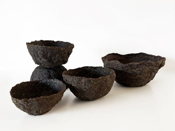 Created by Carla Vermeend - Student Success Story