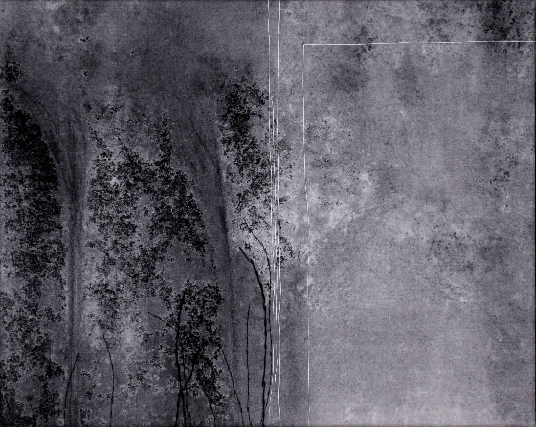 Zara-Muradyan-space2-creek-scaled