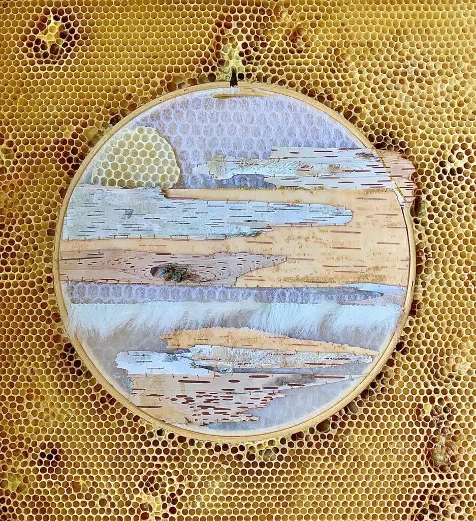 Artwork by Ava Roth