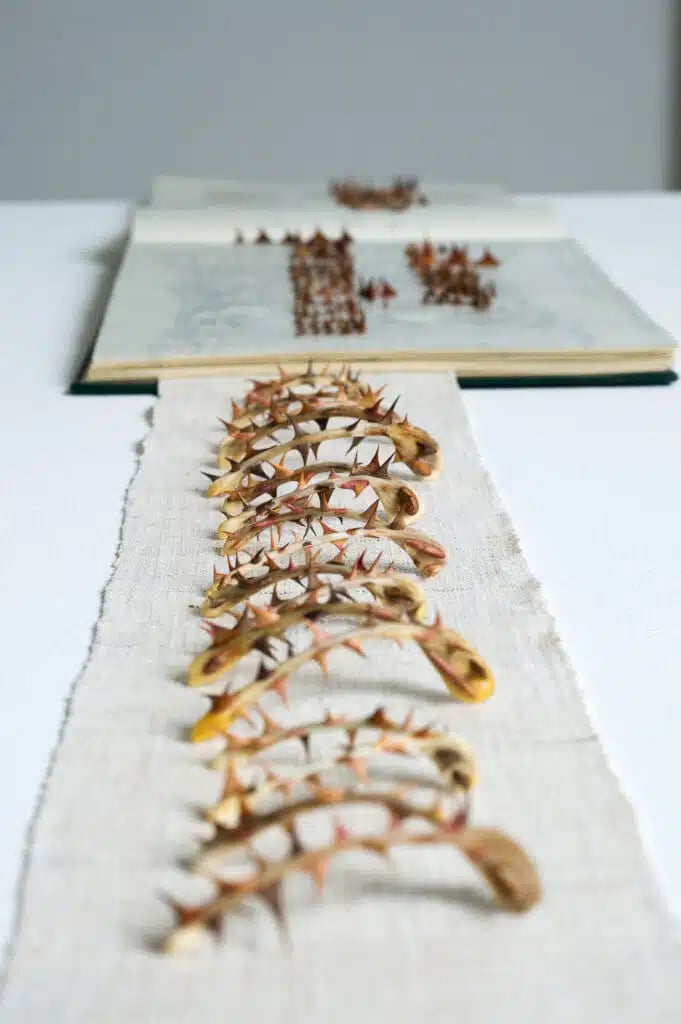 Art meets science with Julie Ryder