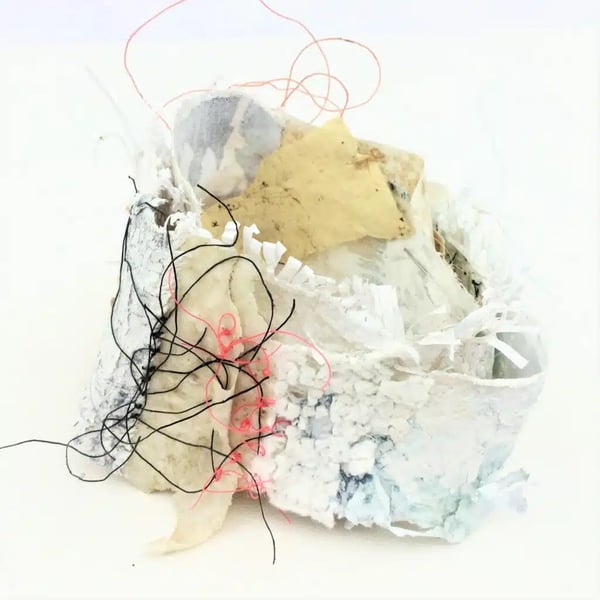 Shelley Rhodes