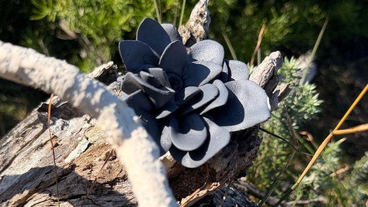 Black clay ephemeral installation in nature