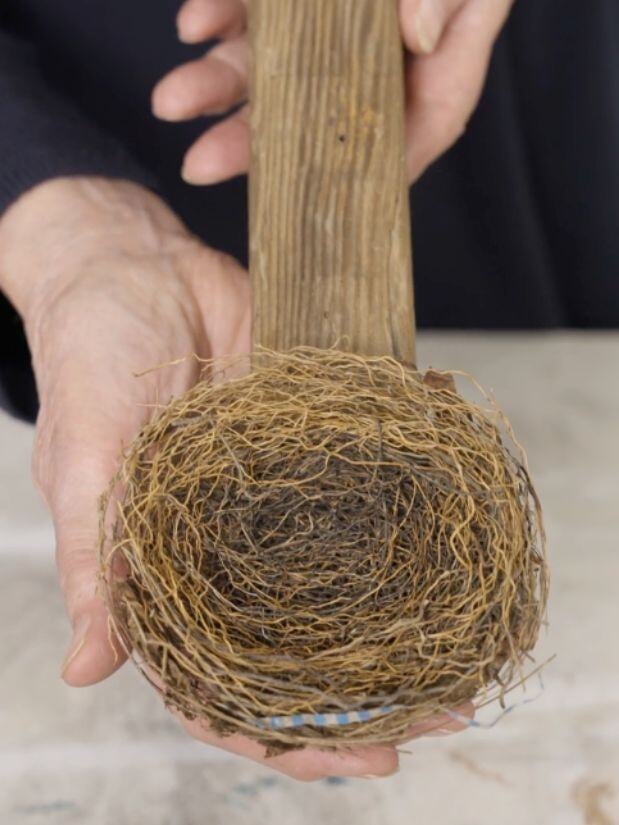 Lissa Hunter Artwork Nest Spoon