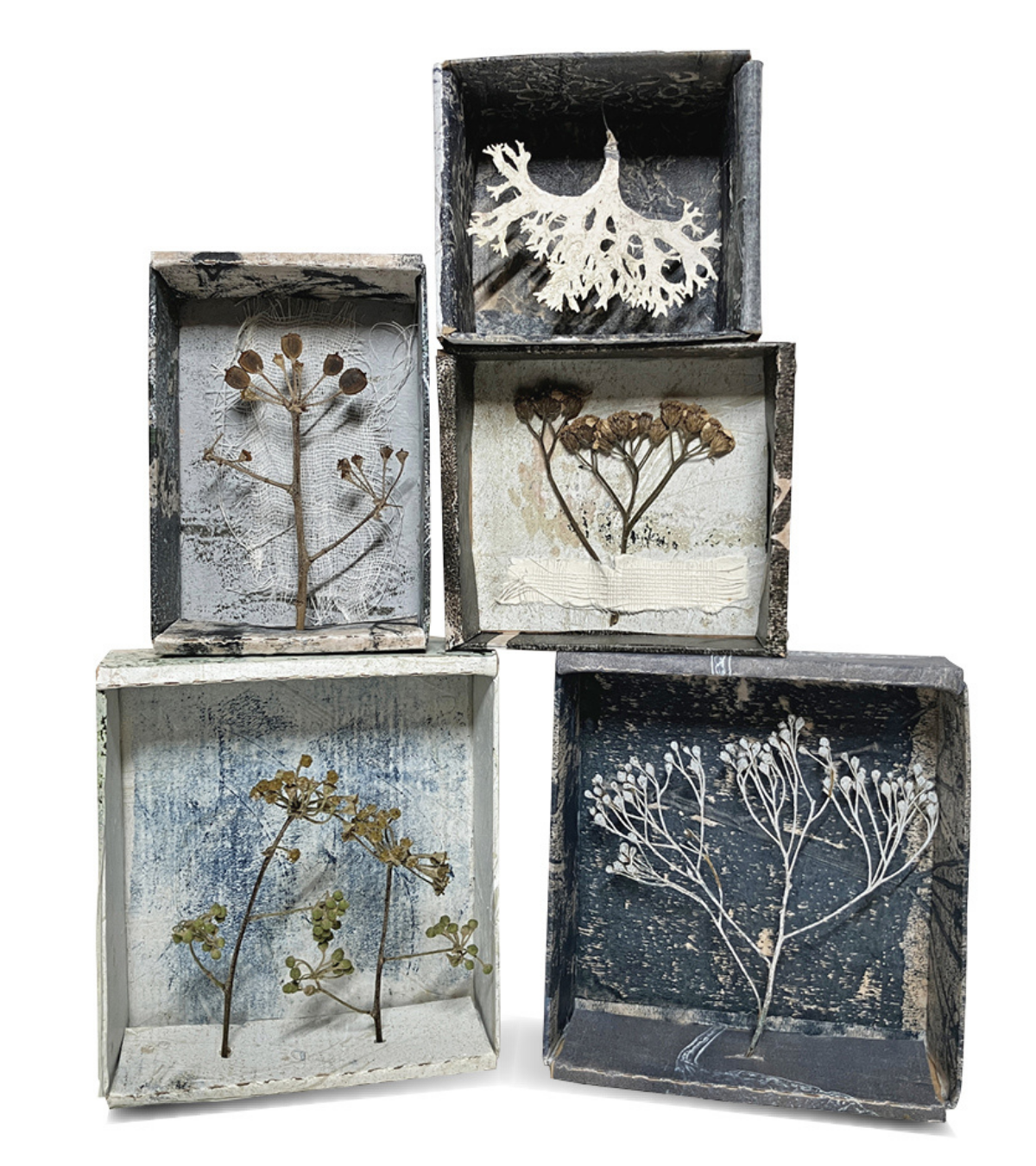 Nature Boxes by Liz Reid