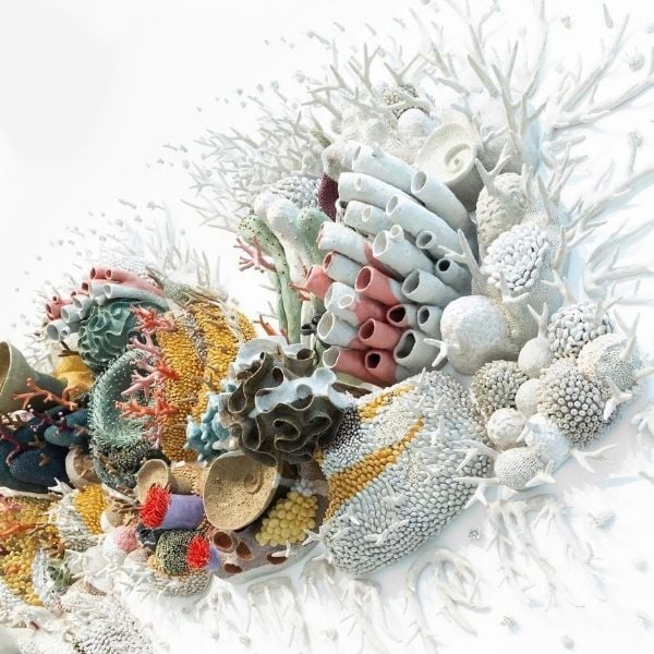 Our Changing Seas IV - Artwork by Courtney Mattison - What is contemporary ceramics 4