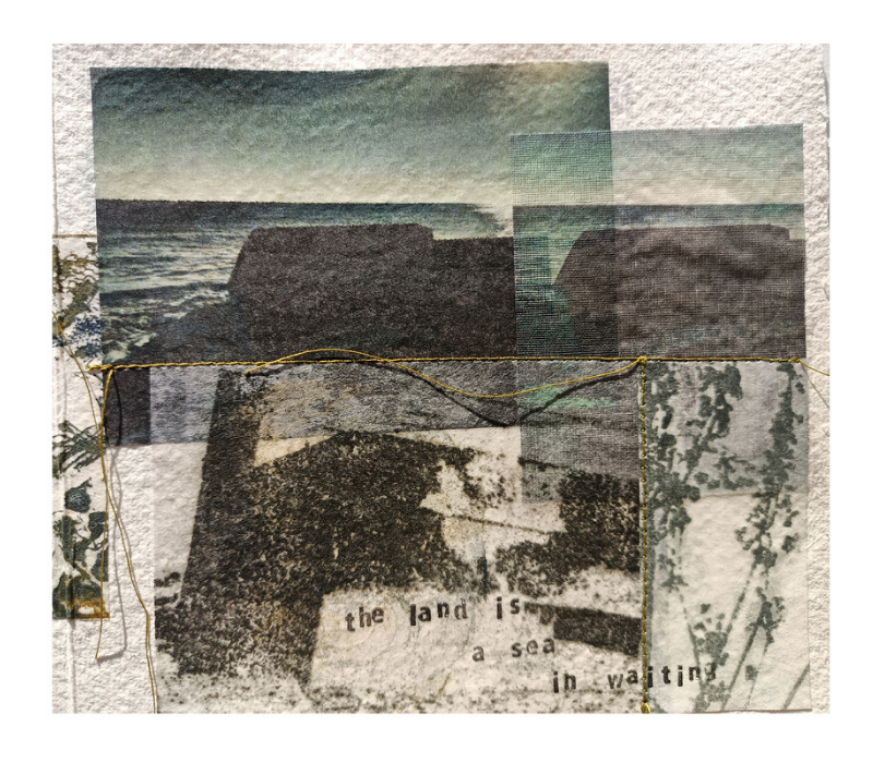 The Land is a  Sea in Waiting by Jackie Brown