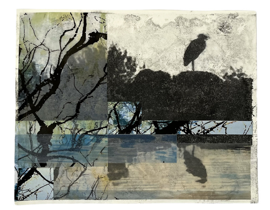 The River Charles by Carol Schein
