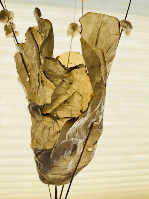 Work by Donna Towers - Student Success Story - Focus and Flow