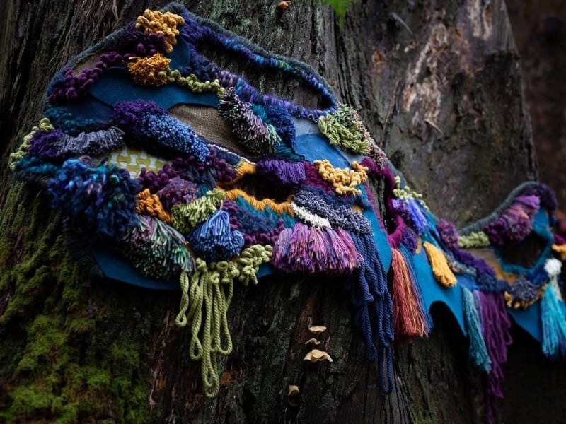 Artwork Tethered by Kerri Hollingsworth