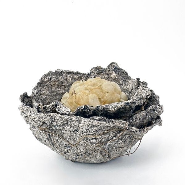 Student Success Story: Carla Vermeend