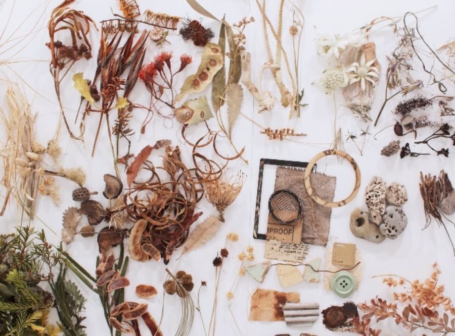 Collection of Tara's pocket finds from her walks