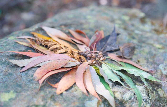 Axford email header (4)