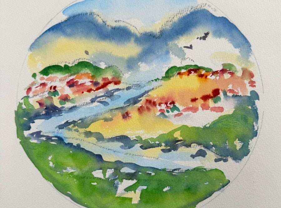 Brayer USP 4