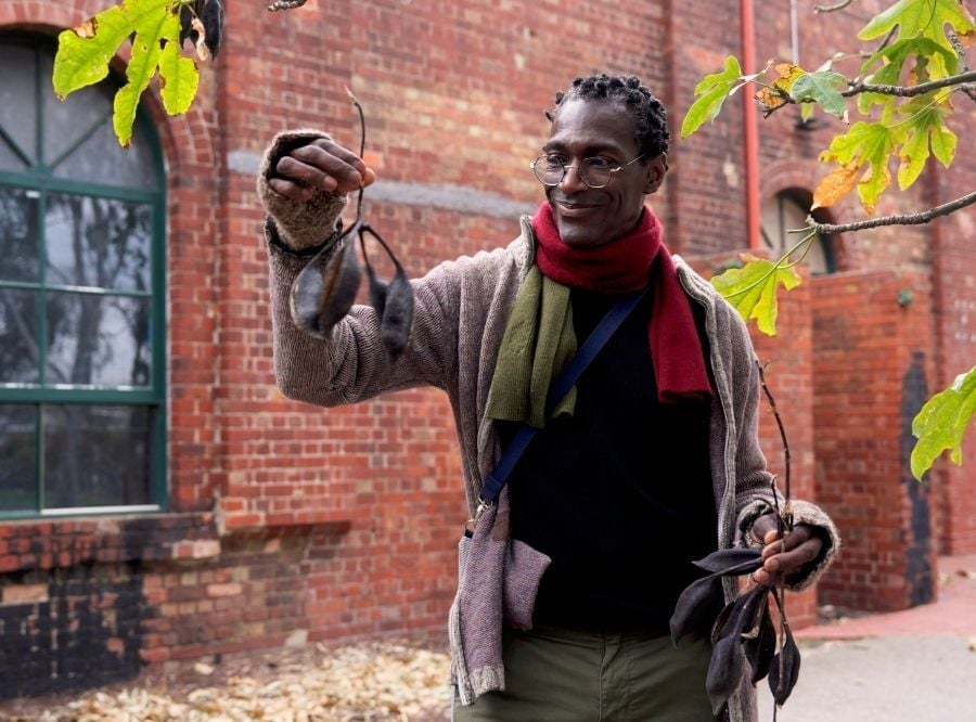 Davis USP source material