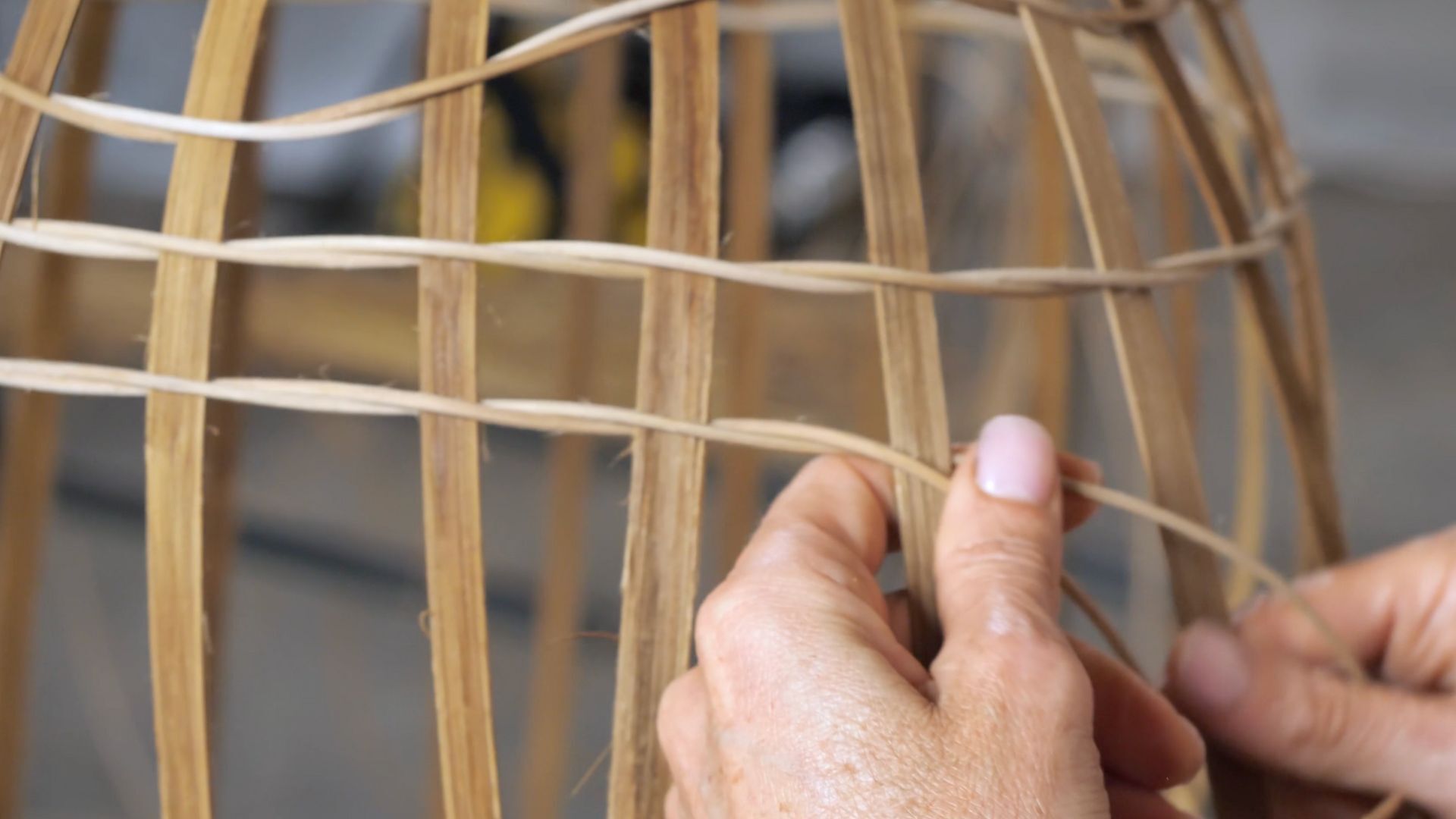 Goodall Landing page designs (2)