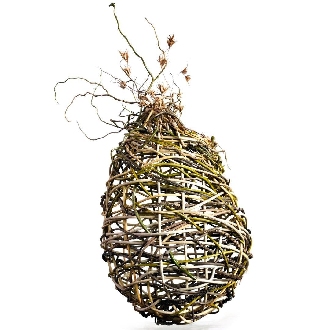 Sculptures Born from Basket Weaving
