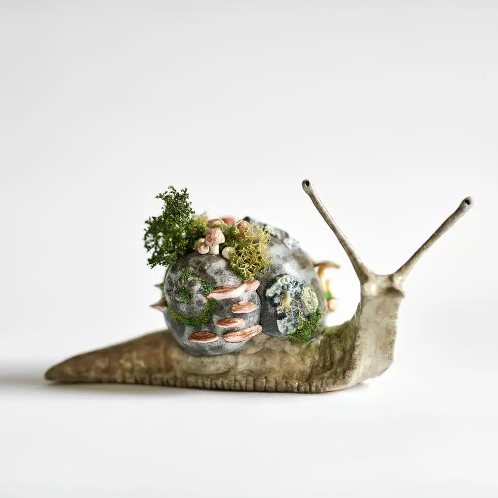Clare James: Patchwork studios and snails