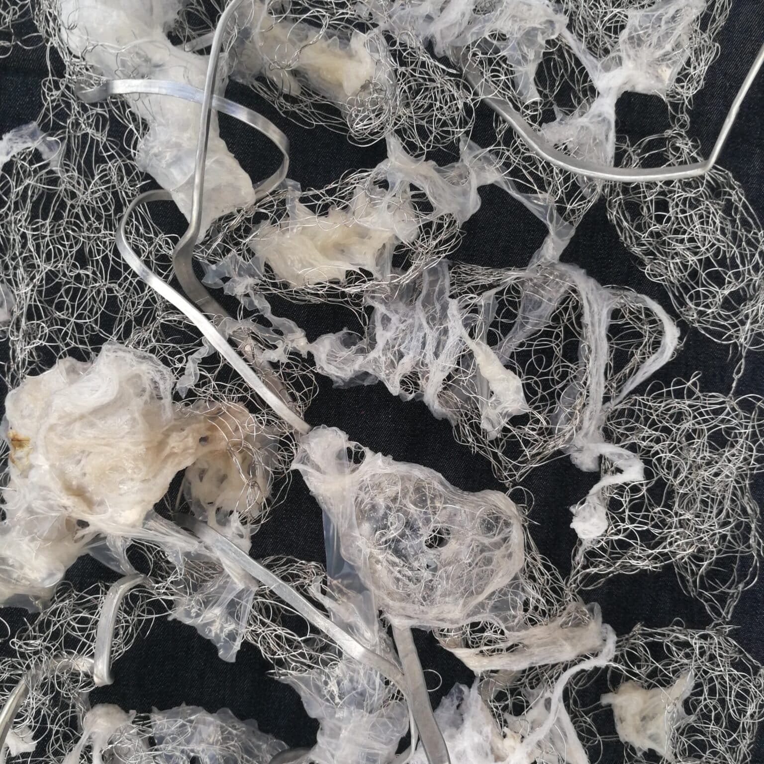 Alysn Midgelow-Marsden: art inspiration and process