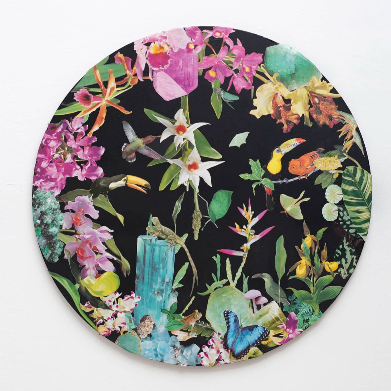 Clare Celeste: Service to the Earth