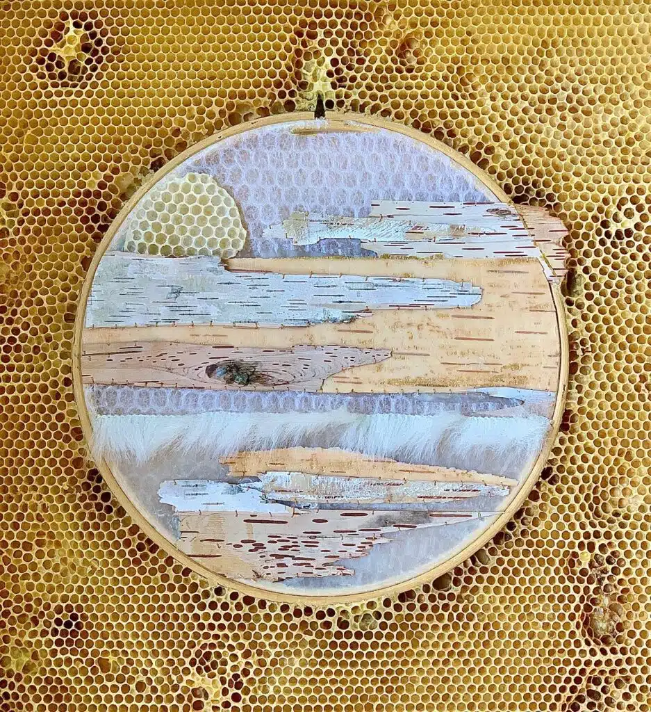 Ava Roth: In Collaboration With Bees