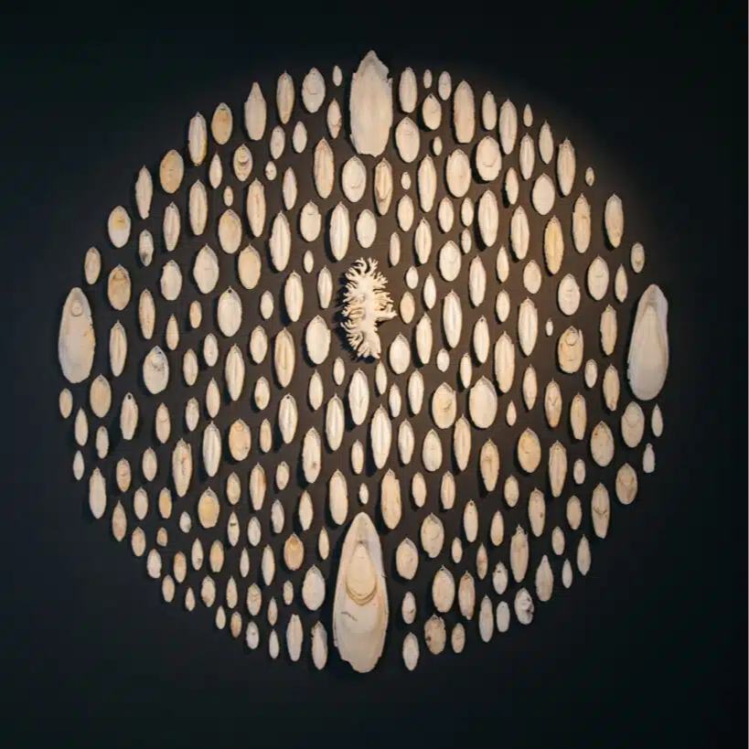 Art meets science with Julie Ryder