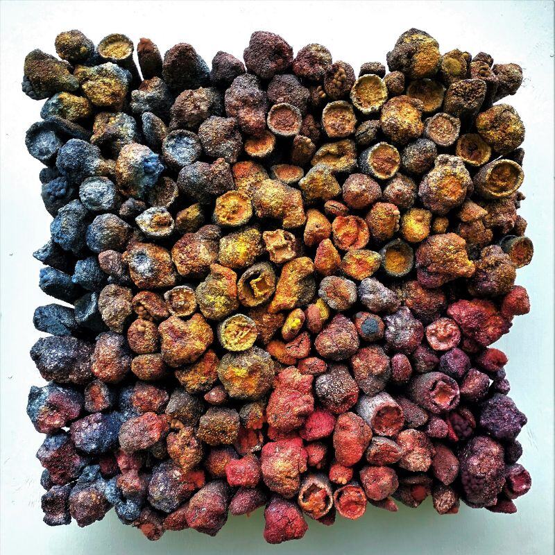 Jonah Jacobs: The Structure of Nature