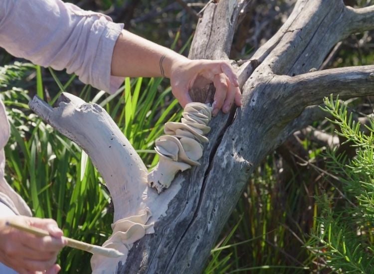 Juz Kitson - ceramics - installed in the landscape - USP 4-2