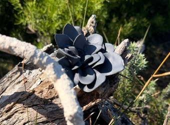 Juz Kitson - ceramics - installed in the landscape - USP 4