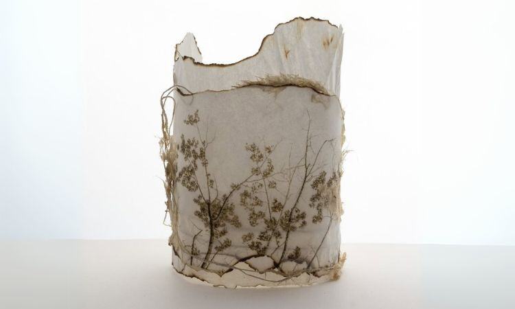 Karen Olson Focus and Flow