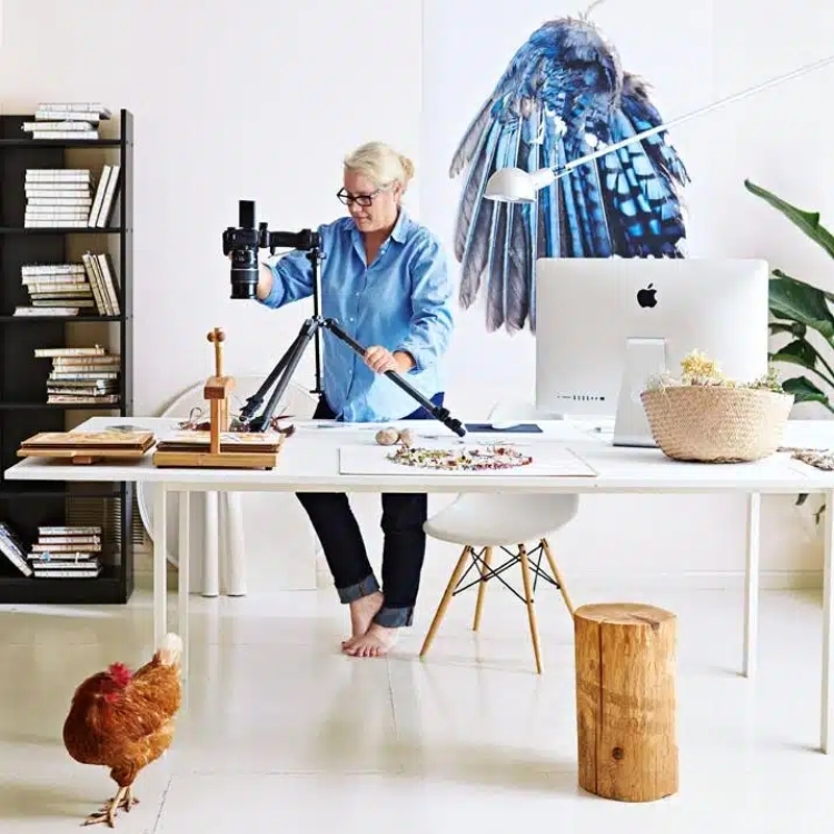 Mary Jo Hoffman: Still Blogging