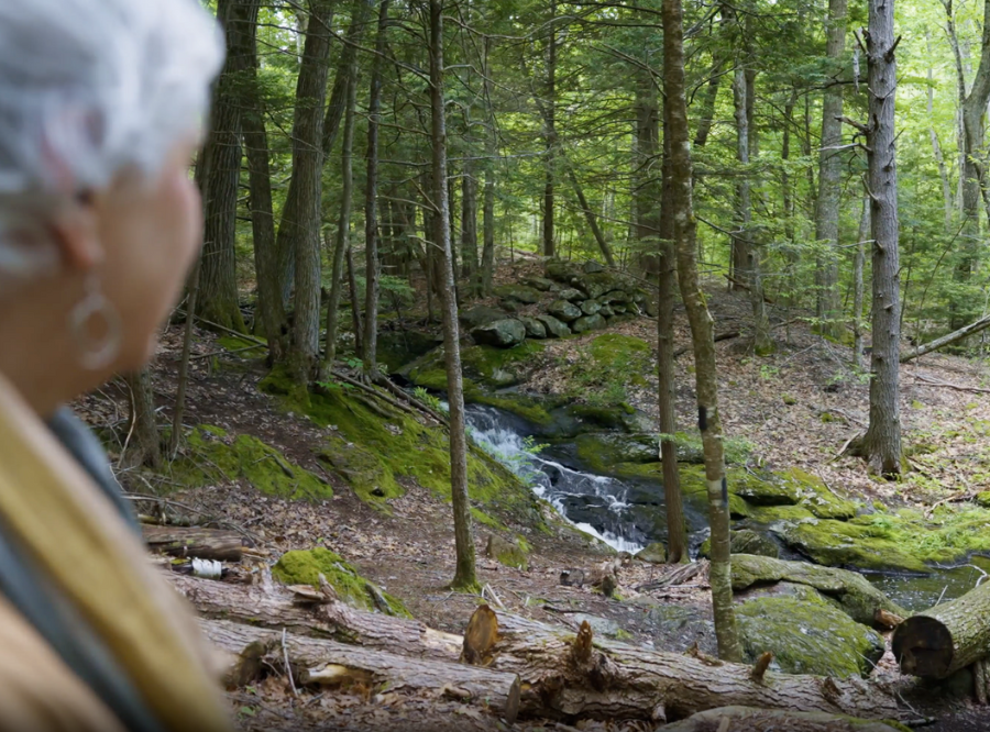 Karen Olson in the forest