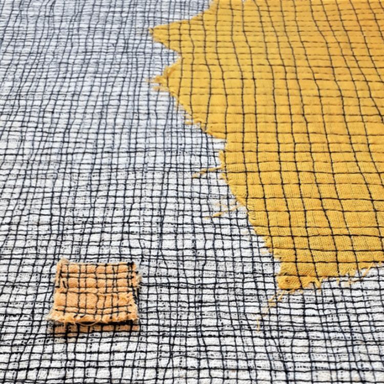 Patricia Kelly: Lines and Textures