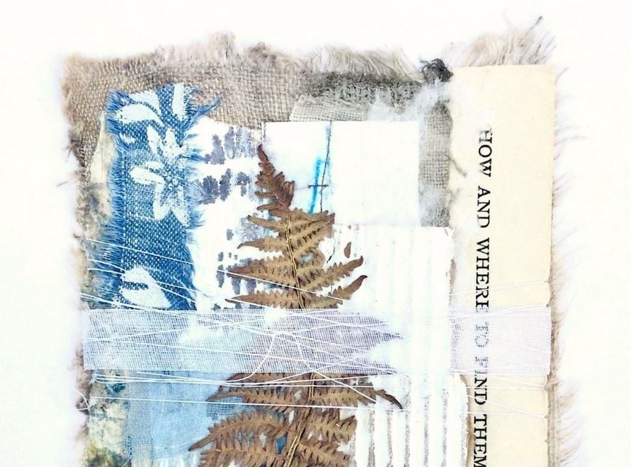 Artwork by Shelley Rhodes