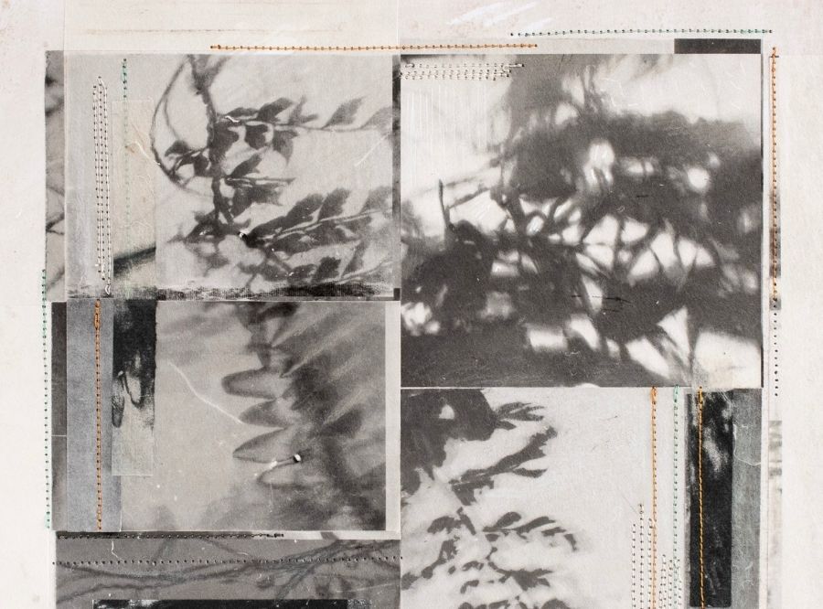 Artwork by Sally Tyrie