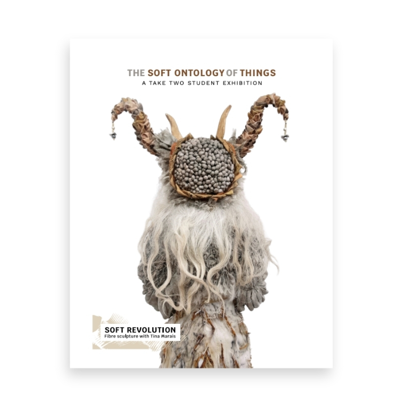 The Soft Ontology of Things